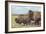 American Bison (Bison Bison)-null-Framed Giclee Print