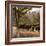 American Bison bulls, Blacktail plateau, Yellowstone National Park, Wyoming, USA-Maresa Pryor-Framed Photographic Print