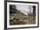 American Bison Herd Grazing in Yellowstone National Park-Paul Souders-Framed Photographic Print