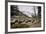 American Bison Herd Grazing in Yellowstone National Park-Paul Souders-Framed Photographic Print