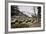 American Bison Herd Grazing in Yellowstone National Park-Paul Souders-Framed Photographic Print