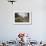 American Bison Herd Grazing in Yellowstone National Park-Paul Souders-Framed Photographic Print displayed on a wall