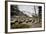 American Bison Herd Grazing in Yellowstone National Park-Paul Souders-Framed Photographic Print