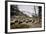 American Bison Herd Grazing in Yellowstone National Park-Paul Souders-Framed Photographic Print