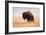 American Bison herd in Teton National Park, Wyoming, USA-Larry Ditto-Framed Photographic Print