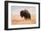 American Bison herd in Teton National Park, Wyoming, USA-Larry Ditto-Framed Photographic Print