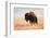 American Bison herd in Teton National Park, Wyoming, USA-Larry Ditto-Framed Photographic Print