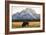 American Bison In Grand Teton National Park At Sunset-Liam Doran-Framed Photographic Print