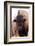 American Bison IV-Debra Van Swearingen-Framed Photographic Print