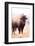 American Bison V-Debra Van Swearingen-Framed Photographic Print