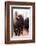 American Bison VI-Debra Van Swearingen-Framed Photographic Print