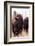 American Bison VI-Debra Van Swearingen-Framed Photographic Print