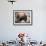 American Bison-abzerit-Framed Photographic Print displayed on a wall