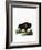 American Bison-null-Framed Giclee Print