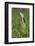 American Bittern-Ken Archer-Framed Photographic Print