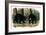 American Black Bear, 1844-John Woodhouse Audubon-Framed Giclee Print