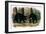 American Black Bear, 1844-John Woodhouse Audubon-Framed Giclee Print