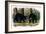 American Black Bear, 1844-John Woodhouse Audubon-Framed Giclee Print