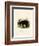 American Black Bear-null-Framed Giclee Print