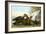 American Black, Or Dusky,-John James Audubon-Framed Giclee Print