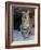 American Bobcat Portrait, Sitting in Front of Cave. Arizona, USA-Philippe Clement-Framed Photographic Print