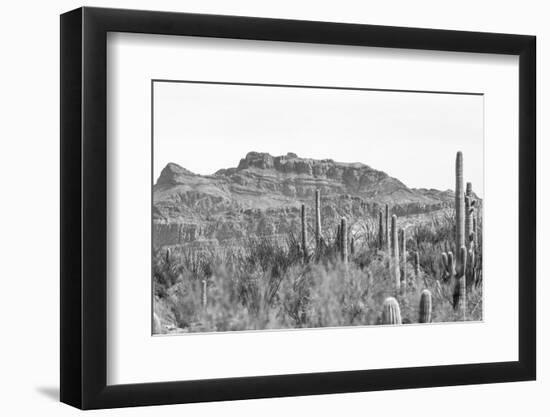 American Borderlands-Nathan Larson-Framed Photographic Print