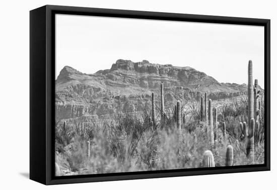 American Borderlands-Nathan Larson-Framed Premier Image Canvas