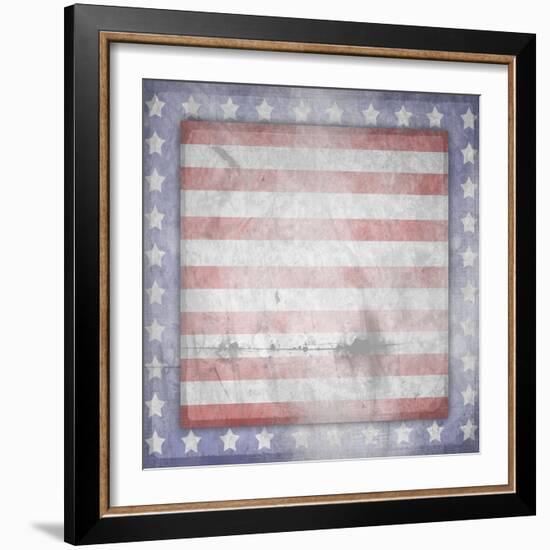 American Born Free Sign Collection V13-LightBoxJournal-Framed Giclee Print