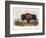 American Buffalo, 1846-null-Framed Giclee Print