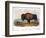 American Buffalo, 1846-null-Framed Giclee Print