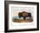 American Buffalo, 1846-null-Framed Giclee Print