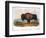 American Buffalo, 1846-null-Framed Giclee Print