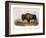 American Buffalo, 1846-null-Framed Giclee Print