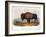 American Buffalo, 1846-null-Framed Giclee Print