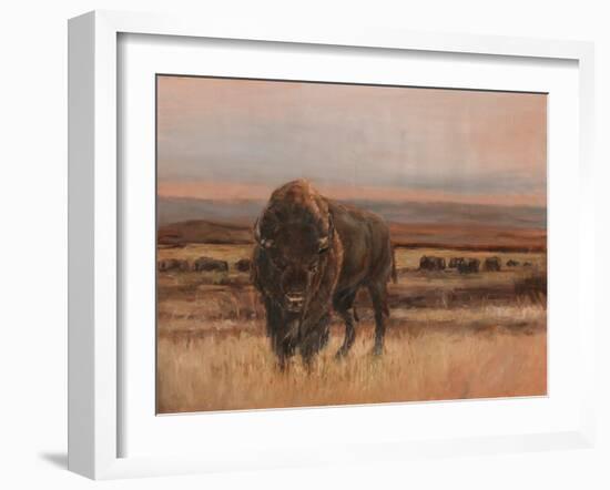 American Buffalo on the Plains I-Ethan Harper-Framed Art Print