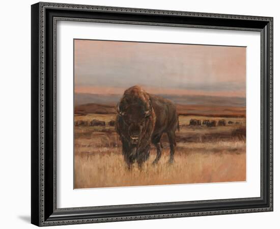 American Buffalo on the Plains I-Ethan Harper-Framed Art Print
