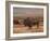 American Buffalo on the Plains II-Ethan Harper-Framed Art Print