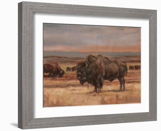 American Buffalo on the Plains II-Ethan Harper-Framed Art Print