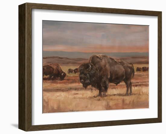 American Buffalo on the Plains II-Ethan Harper-Framed Art Print