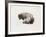 American Buffalo-Joseph Vance-Framed Collectable Print