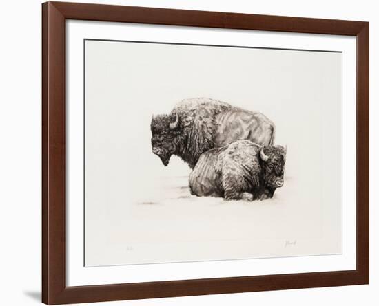 American Buffalo-Joseph Vance-Framed Collectable Print