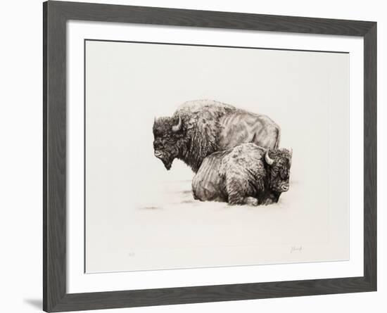 American Buffalo-Joseph Vance-Framed Collectable Print