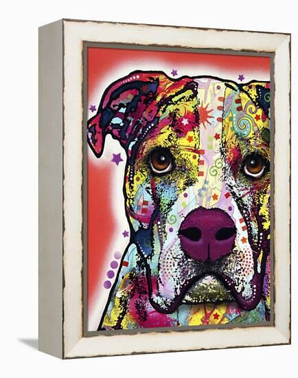 American Bulldog-Dean Russo-Framed Premier Image Canvas