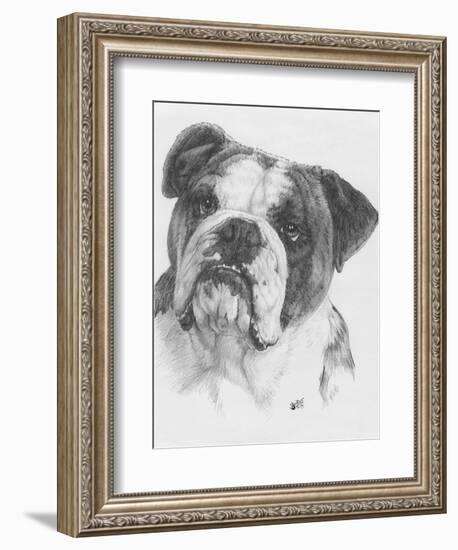 American Bulldog-Barbara Keith-Framed Giclee Print