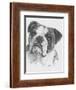 American Bulldog-Barbara Keith-Framed Giclee Print