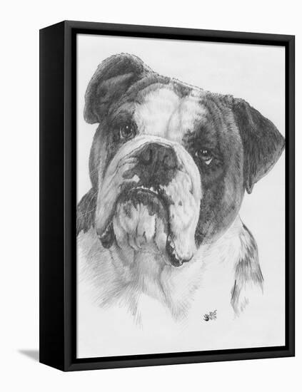 American Bulldog-Barbara Keith-Framed Premier Image Canvas