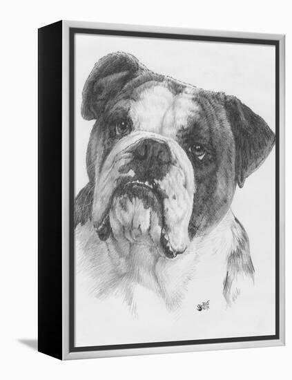 American Bulldog-Barbara Keith-Framed Premier Image Canvas