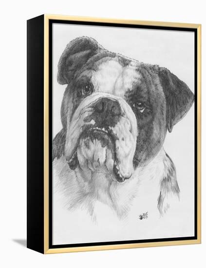 American Bulldog-Barbara Keith-Framed Premier Image Canvas