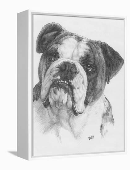 American Bulldog-Barbara Keith-Framed Premier Image Canvas