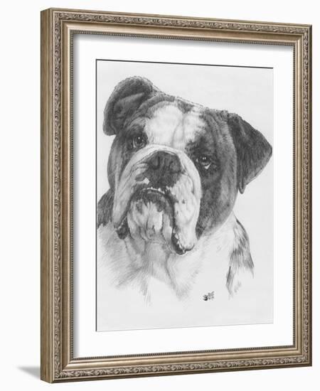 American Bulldog-Barbara Keith-Framed Giclee Print